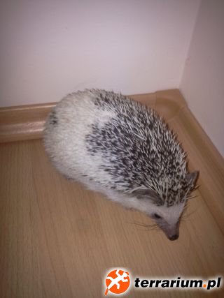Zdjęcie00151