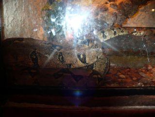 70fec5a878rtyd 70fec5a878rtyd