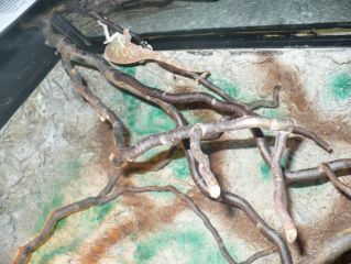 7936da6916 7936da6916