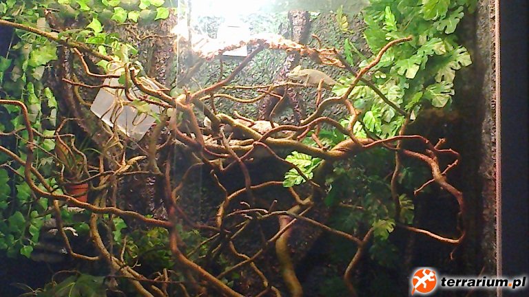 gallery_53903_927_143081.jpg