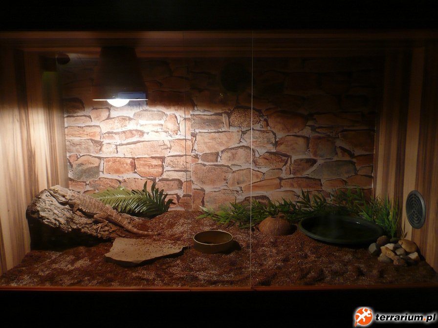 Terrarium