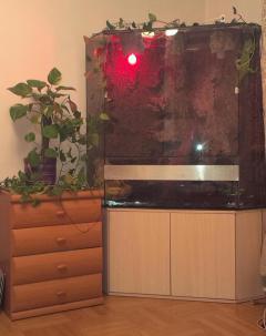 IMAG1115_2.jpg