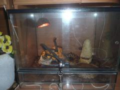 PB200389 (Kopiowanie).JPG