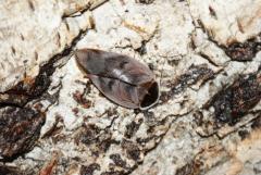 Załączony obraz: DSC07017.JPG