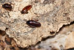 Załączony obraz: DSC07075.JPG