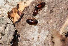 Załączony obraz: DSC07074.JPG