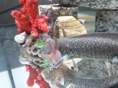 20151225_172230.jpg