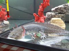 20151225_172320.jpg