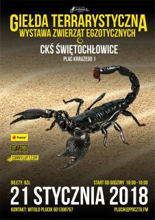 plakat 21 stycznia 2018.jpg