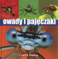 Załączony obraz: file_12333.jpg