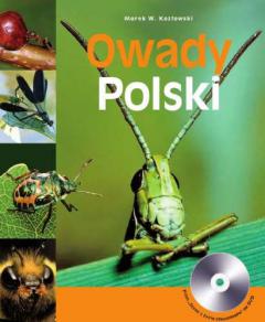 Załączony obraz: owady-polski.jpg