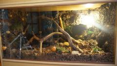 DSC01640.JPG