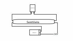 swietlowka.png