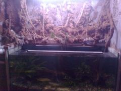 20140212622f.jpg