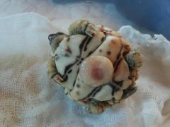 20150213_103742.jpg