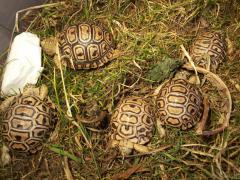 20150214_102657.jpg