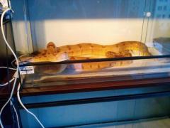IMG_20150218_165721.jpg