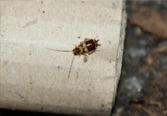 Załączony obraz: DSC07603.JPG