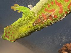 IMG_3794.jpeg
