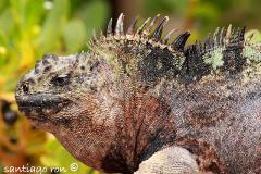 Załączony obraz: 1.jpg