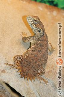 Załączony obraz: 3.jpg