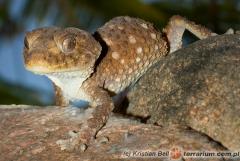 Załączony obraz: 1.jpg