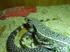 IMG_0134.JPG