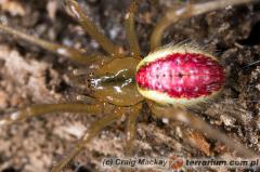 Załączony obraz: 2.jpg