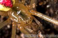 Załączony obraz: 3.jpg