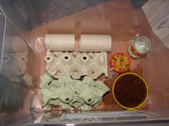 DSC00477.JPG