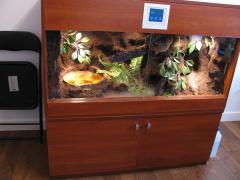 IMG_1535.JPG