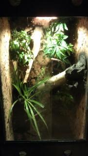 IMAG0244.jpg