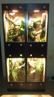 IMAG0241.jpg