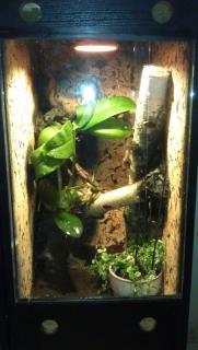IMAG0243.jpg
