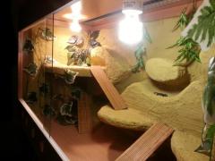20140306_210011.jpg