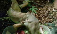 IMG_20141015_173030.jpg