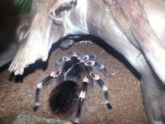 20150225_104940.jpg