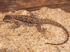 Załączony obraz: 1_800.jpg