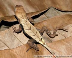 Załączony obraz: 2_800.jpg