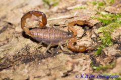 Załączony obraz: image.jpg