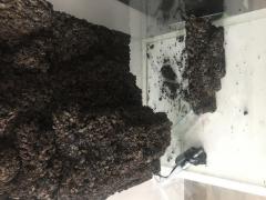 1177ACD0-9605-4BAA-B6EA-DC4AB7B55EAE.jpeg