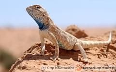 Załączony obraz: 2.jpg