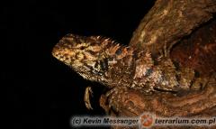 Załączony obraz: 3.jpg