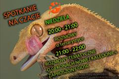 jaszczurki.jpg
