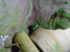 DSC01798.JPG