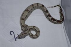 post-45230-0-25723600-1398708262_thumb.j