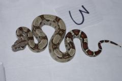 post-45230-0-32494000-1398708301_thumb.j