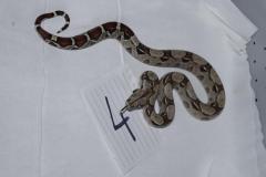 post-45230-0-96325600-1398708327_thumb.j