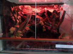 20140421_181910.jpg
