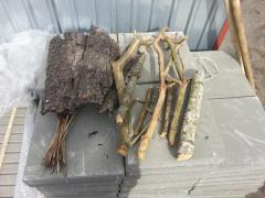 20140405_1437141.jpg